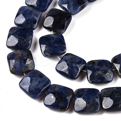 Natural Sodalite Beads Strands G-T138-169-1