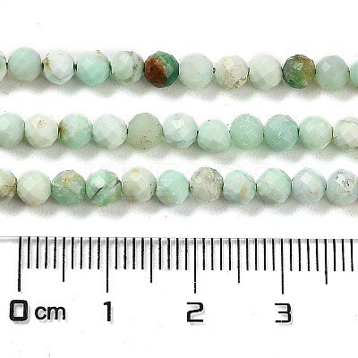 Natural Green Opal Beads Strands G-Z035-A02-03E-1