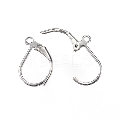 Tarnish Resistant 304 Stainless Steel Leverback Earring Findings LS-STAS-E147-20P-1