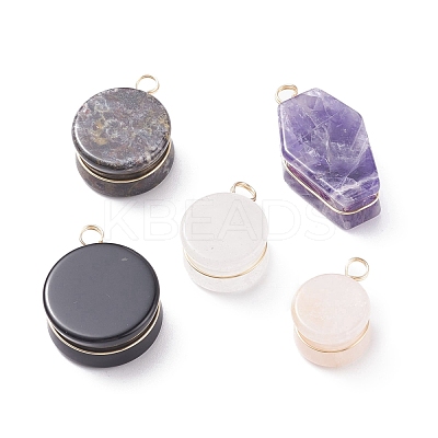 Natural Gemstone Pendants PALLOY-JF01403-1