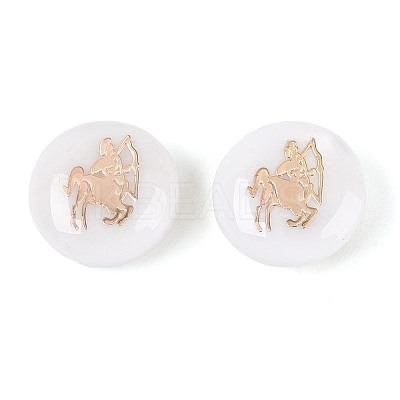 Natural Freshwater Shell Beads SHEL-N037-02I-G-1