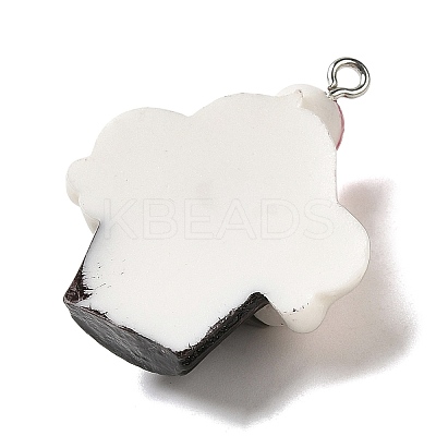 Opaque Resin Imitation Food Pendants LS-FIND-Z006-05A-1
