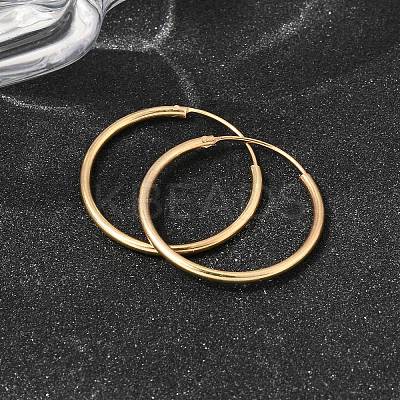 Brass Hoop Earrings EJEW-G474-01G-04-1