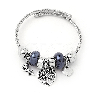 European Style Stainless Steel & Alloy Charm Bangles for Women PW-WG243C0-05-1