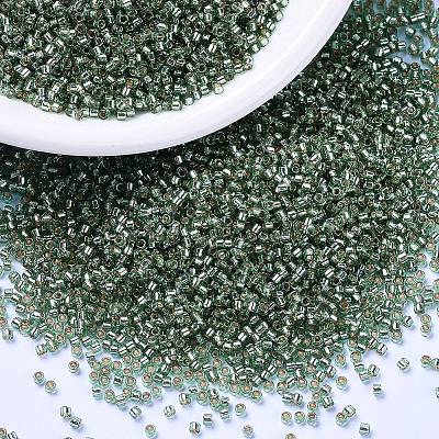 MIYUKI Delica Beads SEED-MY11-DB2165-1