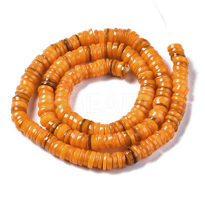 Natural Freshwater Shell Beads Strands X-SHEL-Q024-001H-1