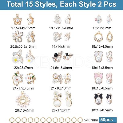 DIY Jewelry Making Finding Kit FIND-FH0003-91-1