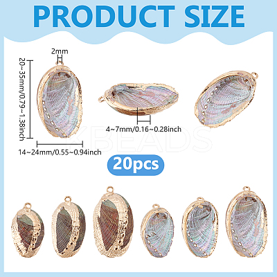20Pcs Electroplated Natural Paua Shell Pendants SSHEL-PH0001-49-1