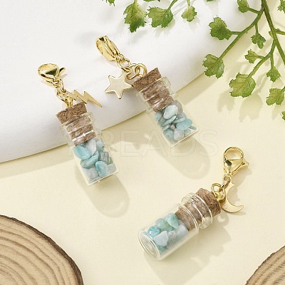 Natural Amazonite Chip inside Glass Wishing Bottle Pendant Decoration HJEW-JM03130-01-1