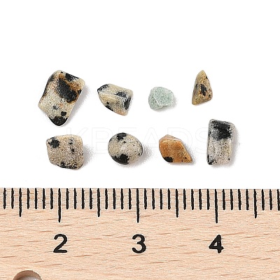 Pandahall Natural Dalmatian Jasper Chip Beads G-M055-04-1