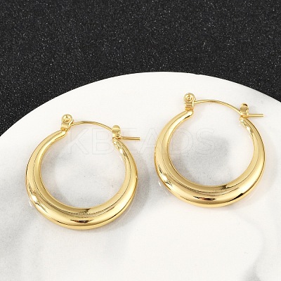 304 Stainless Steel Hoop Earrings for Women EJEW-U046-07G-A-1