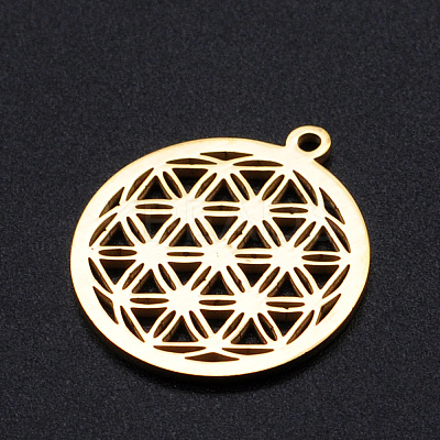 304 Stainless Steel Sacred Geometry Pendants STAS-S105-JN899-2-1