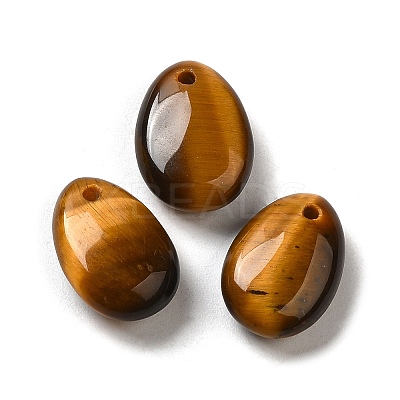 Natural Tiger Eye Teardrop Charms G-M410-01-09-1