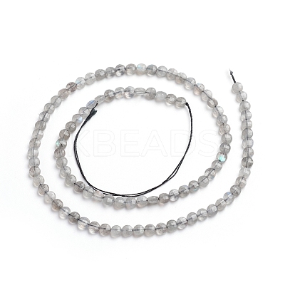 Natural Labradorite Beads Strands G-E560-C08-4mm-1