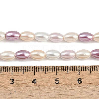 Electroplated Shell Pearl Beads Strands BSHE-H113-06C-01-1