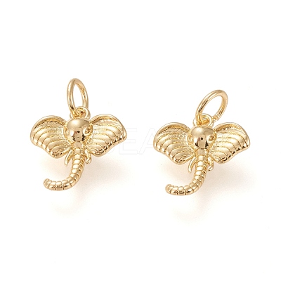 Brass Charms KK-L006-009G-1