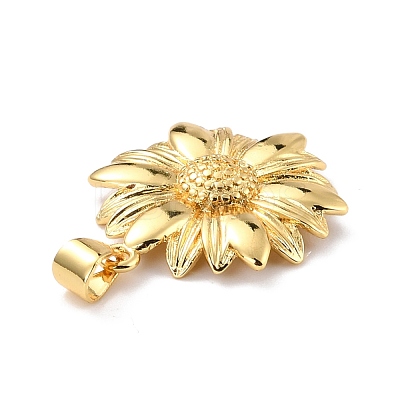 Eco-Friendly Brass Pendants KK-D066-31G-RS-1
