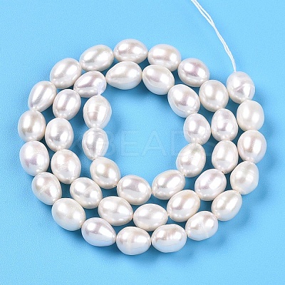 Natural Cultured Freshwater Pearl Beads Strands PEAR-N012-23C-01-1