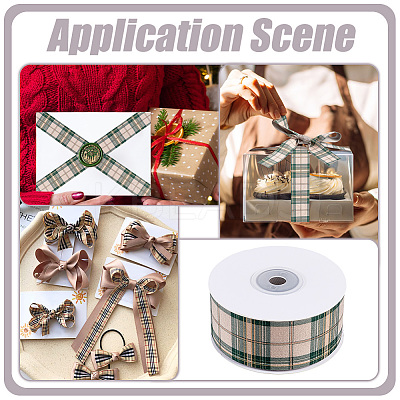 Polyester Tartan Ribbon OCOR-WH0105-098B-1