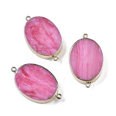 Synthetic Picture Jasper Dyed Connector Charms KK-F868-19G-02-1