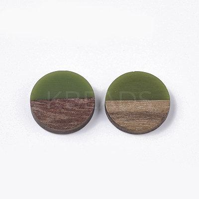 Resin & Walnut Wood Cabochons RESI-Q210-010A-A01-1