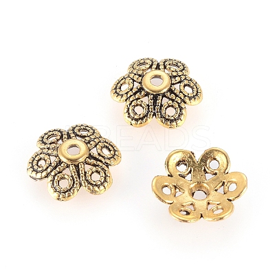 Tibetan Style Alloy Bead Caps LS-GLF10883Y-1