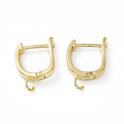 Brass Hoop Earring Findings with Latch Back Closure LS-KK-A172-19G-1