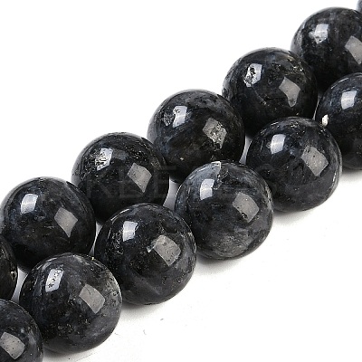 Natural Larvikite Beads Strands G-G118-B02-01-1