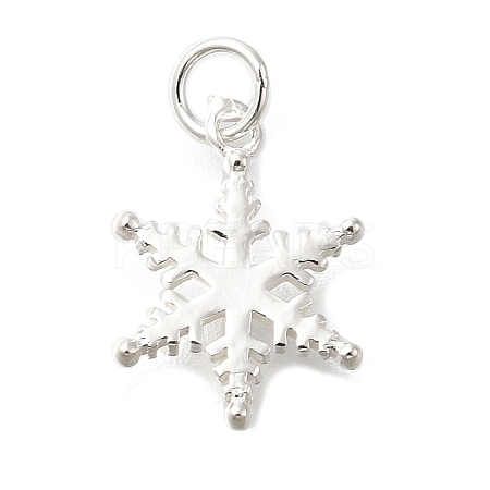 925 Sterling Silver Pendants STER-Q003-01B-S-1