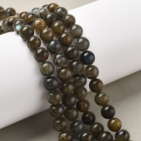 Natural Labradorite Beads Strands G-I253-01-1