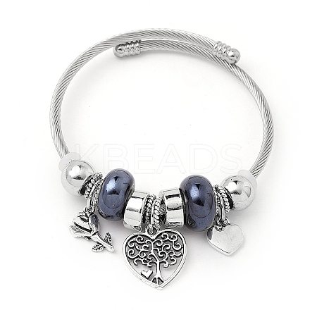 European Style Stainless Steel & Alloy Charm Bangles for Women PW-WG243C0-05-1