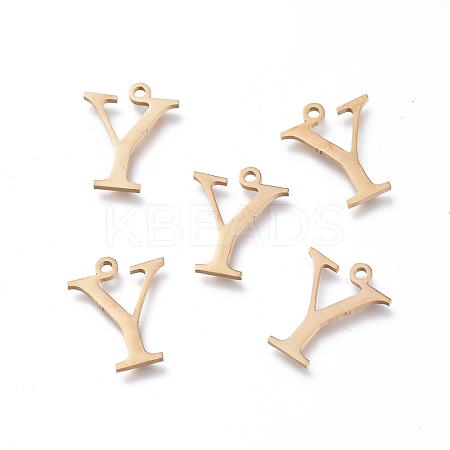304 Stainless Steel Charms STAS-K215-14G-1