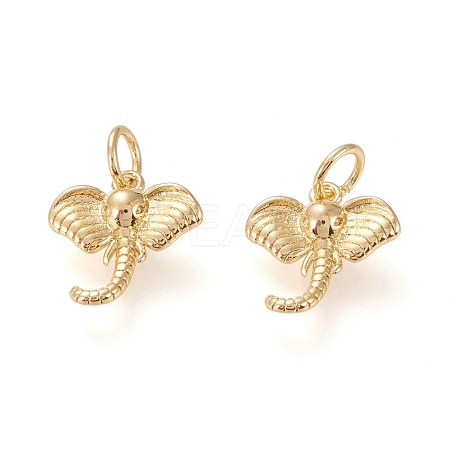 Brass Charms KK-L006-009G-1