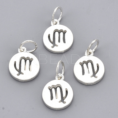 925 Sterling Silver Charms STER-T002-44S-06-1