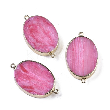 Synthetic Picture Jasper Dyed Connector Charms KK-F868-19G-02-1