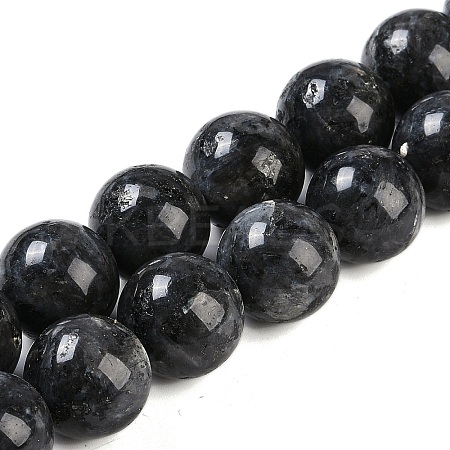 Natural Larvikite Beads Strands G-G118-B02-01-1