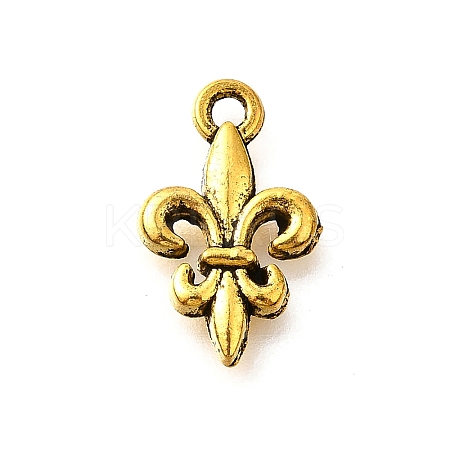 Tibetan Style Alloy Pendants TIBE-L008-15AG-1