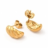 316 Stainless Steel Shell Shape Stud Earrings for Women EJEW-C004-13G-2