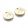 Alloy Charms PALLOY-T075-101G-NR-3