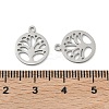 304 Stainless Steel Charms STAS-P433-05P-3
