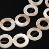 Natural White Shell Beads Strands LS-PBB-XXBK014Y-13-3