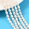 Natural Cultured Freshwater Pearl Beads Strands PEAR-I007-01B-05B-1