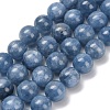 Natural Kyanite Beads Strands G-C259-B01-10mm-01-2