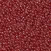 MIYUKI Round Rocailles Beads X-SEED-G008-RR0166-3