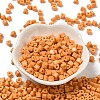 Baking Paint Glass Bead SEED-H002-K-D325-2