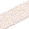 Natural Cultured Freshwater Pearl Beads Strands PEAR-T006-31-2