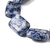 Natural Blue Spot Jasper Beads Strands G-S386-A05-4
