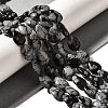 Natural Snowflake Obsidian Beads Strands X-G-I377-A28-1