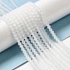 Imitate Austrian Crystal Frosted Glass Beads Strands LS-GLAA-F029-TM3mm-B13-4