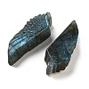 Natural Labradorite Carved Cabochons G-C152-05-2